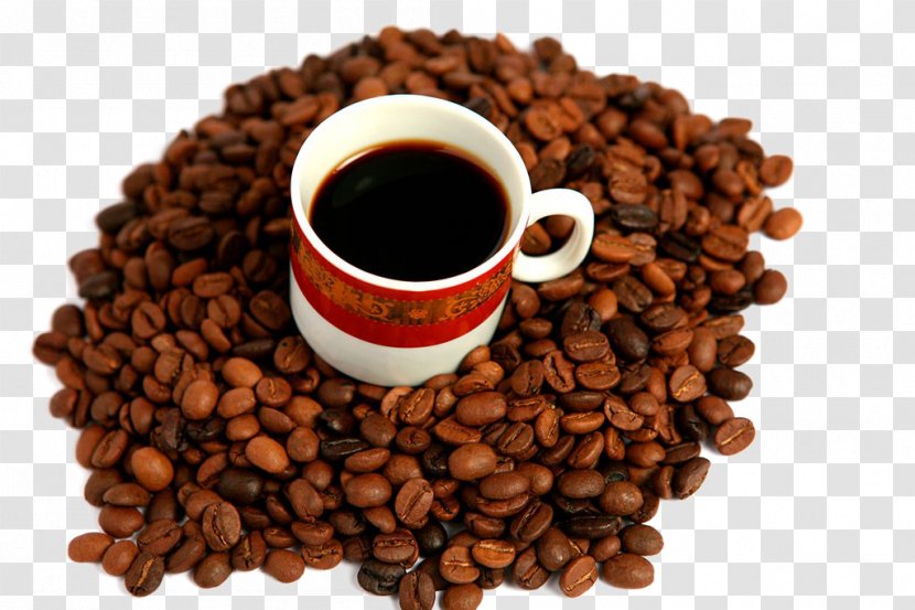 Jamaican Blue Mountain Coffee Espresso Tea Kona - Cup - Beans Transparent PNG