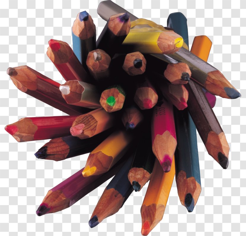 Kozelsk Colored Pencil Clip Art - Painting - Colorful Brush Transparent PNG