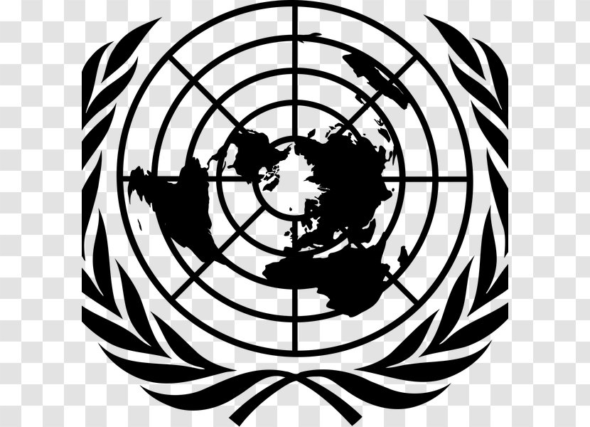 United Nations General Assembly First Committee Special On Decolonization - Artwork - Plant Transparent PNG