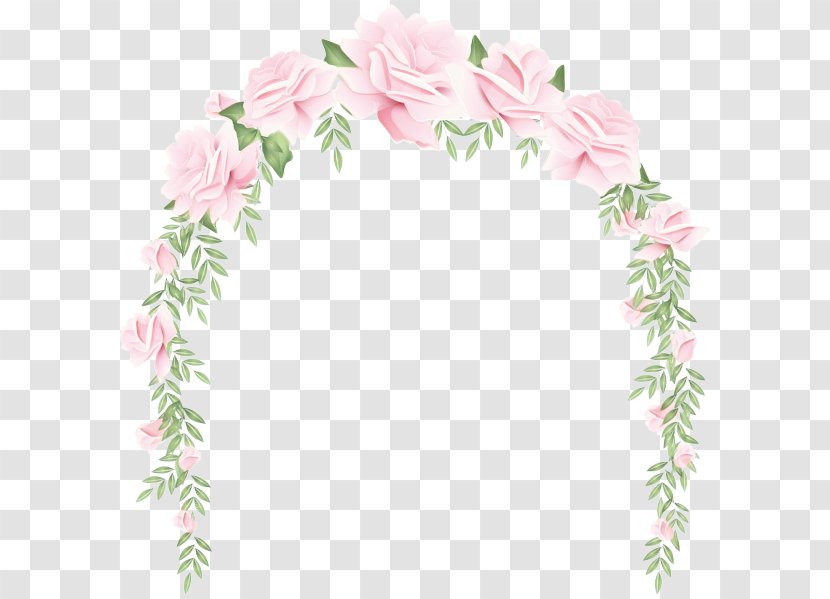 Garden Roses - Cut Flowers - Plant Pink Transparent PNG