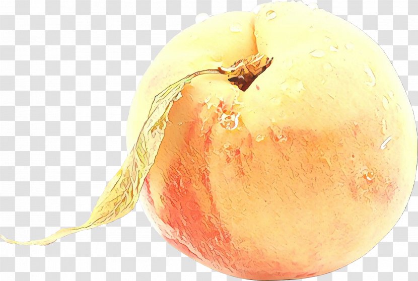 Food Fruit Yellow Onion Plant Apple - Spoilage - Flowering Transparent PNG