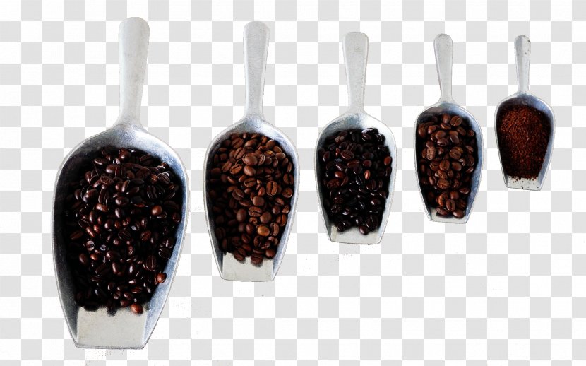 Arabica Coffee Robusta Coffea Liberica Ristretto - Spoon Transparent PNG