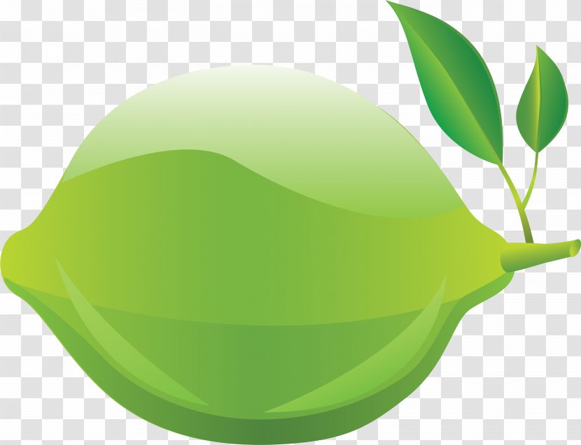 Green Leaf Logo - Fruit Transparent PNG