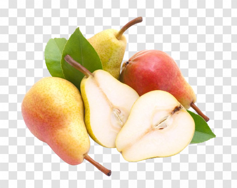 Fruit Tree Asian Pear Food Nutrition - Avocado - Sweet Transparent PNG