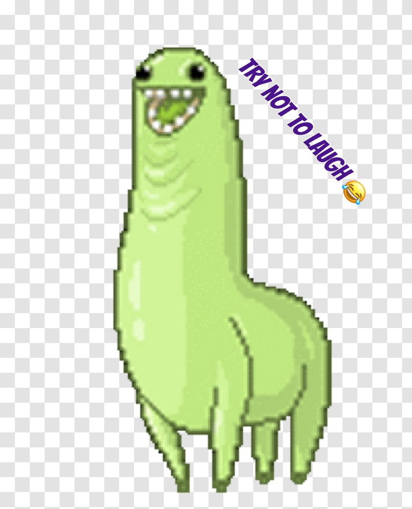 GIF Llama Tenor Gfycat Giphy - Galaxy Dog Transparent PNG