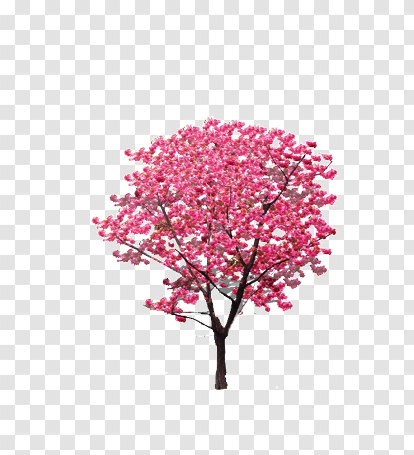 Tree Pink Twig Icon - Rose Transparent PNG