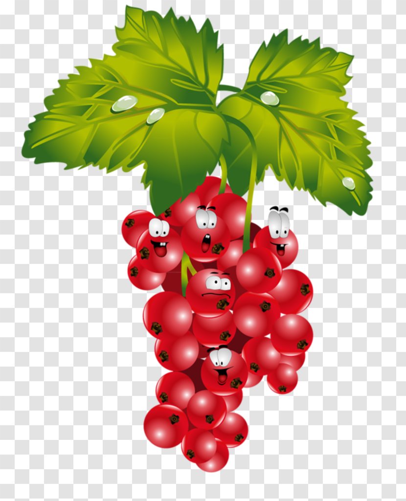 Redcurrant Strawberry Fruit Verse - Fruits And Vegetables Transparent PNG