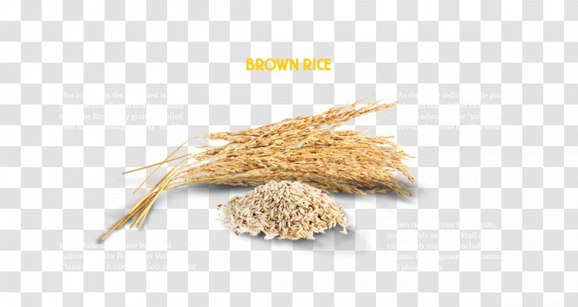 Oat Indian Cuisine Whole Grain Cereal Food - Rice Transparent PNG
