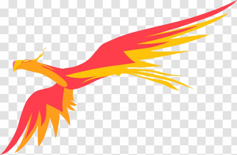 Twilight Sparkle Rainbow Dash Princess Celestia Fluttershy Rarity - Bird - Phoenix Transparent PNG