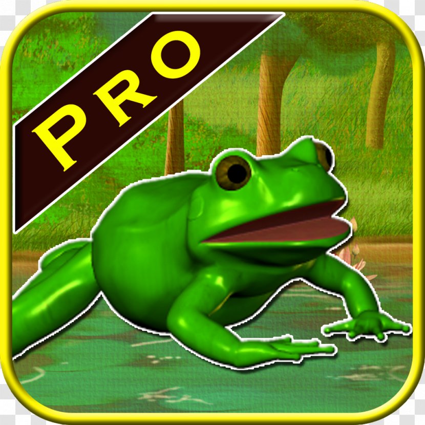 True Frog Tree Toad - Organism Transparent PNG