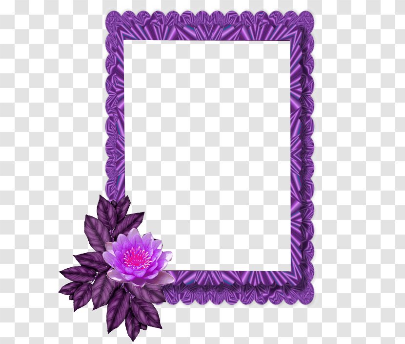 Picture Frames Image Clip Art Painting - Flower - Ramki Transparent PNG