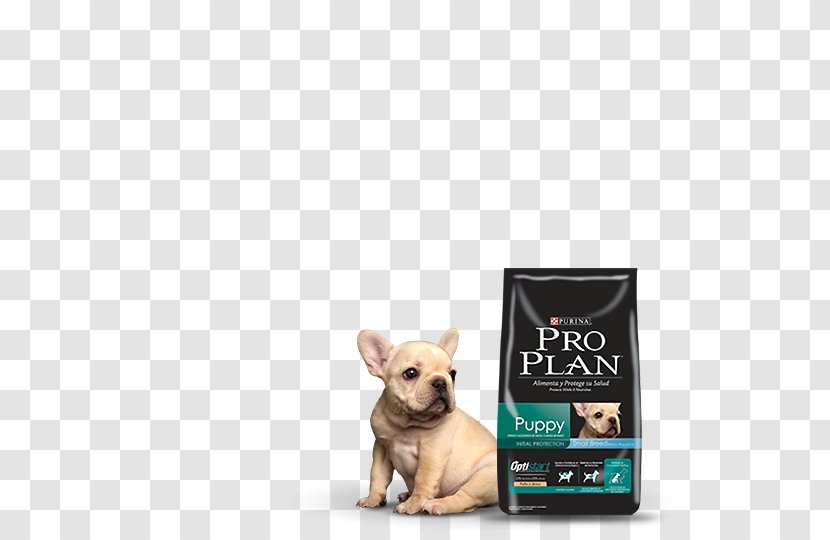Pro Plan Puppy Small Chicken And Rice Dog Nestlé Purina PetCare Company Breed - Like Mammal - Hero Transparent PNG