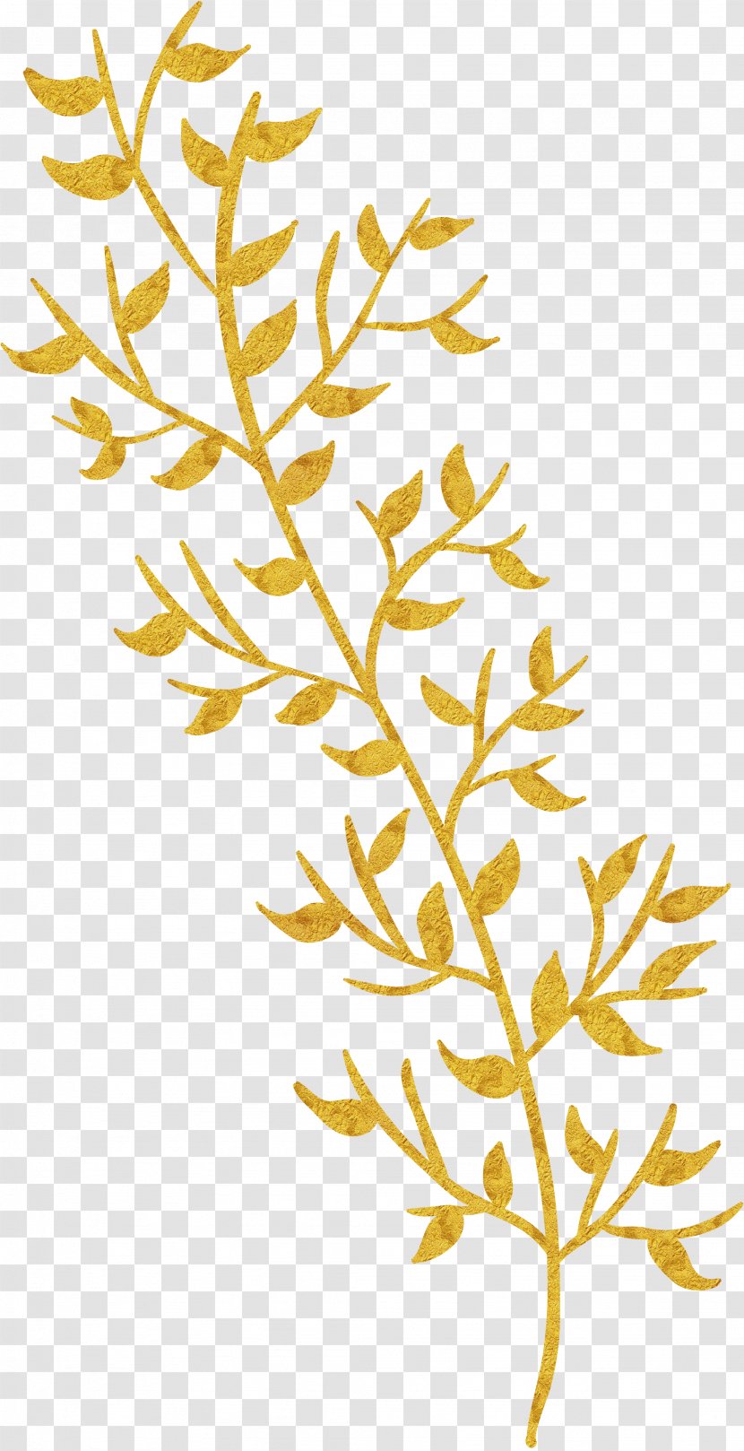 Leaf Gratis Download - Gold - Golden Leaves Transparent PNG