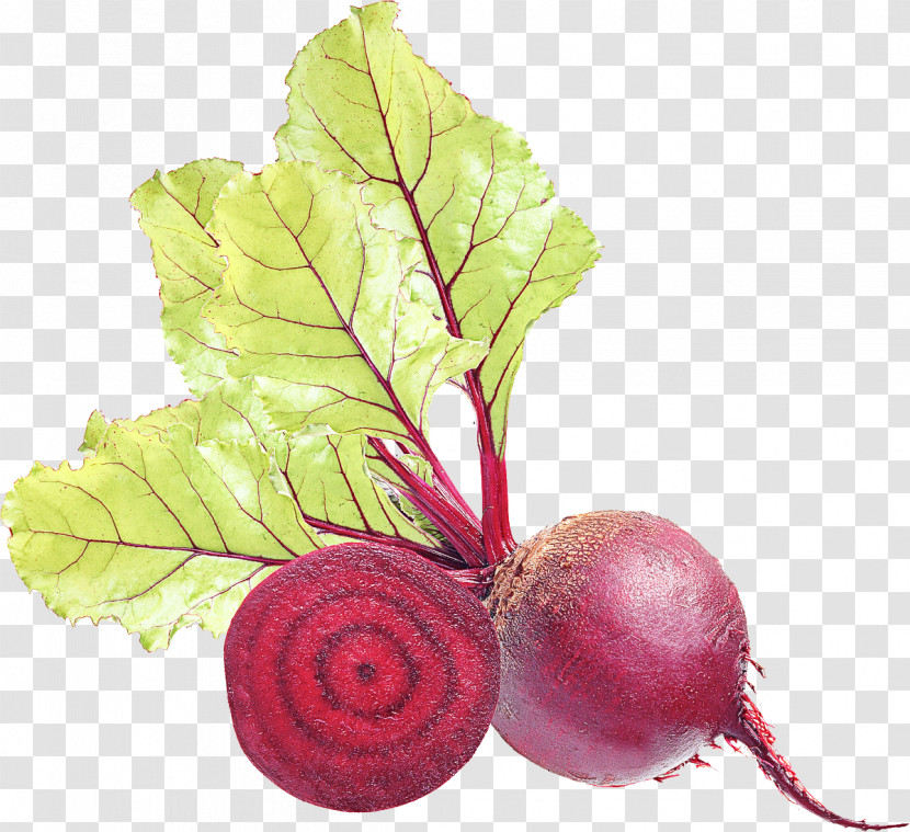 Beetroot Juice Turnip Leaf Vegetable Transparent PNG