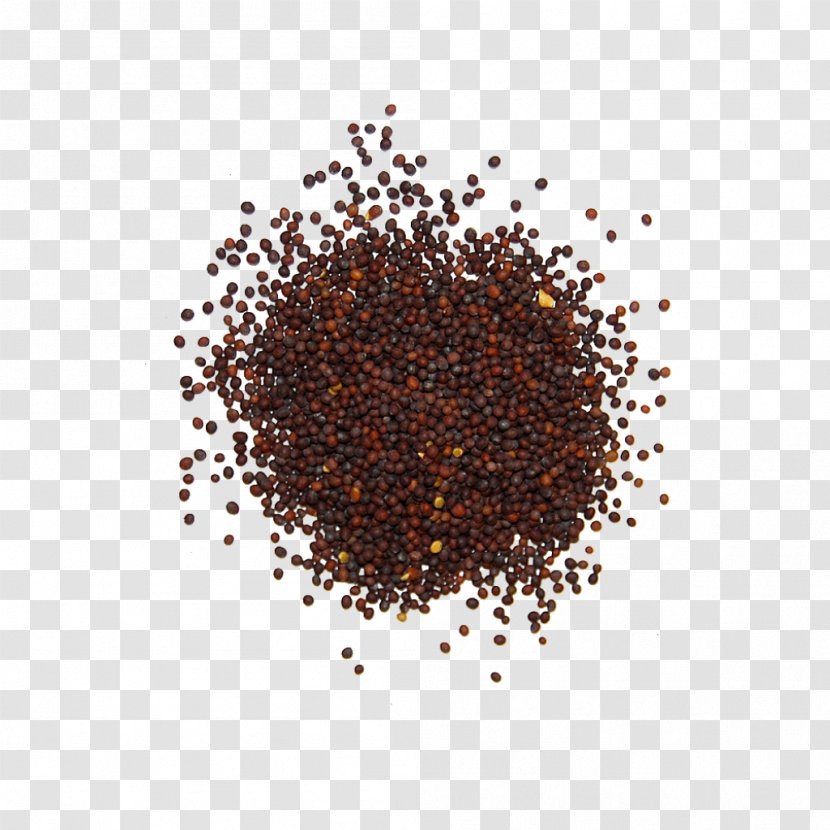 Spice Mustard Seed Brassica Juncea Transparent PNG