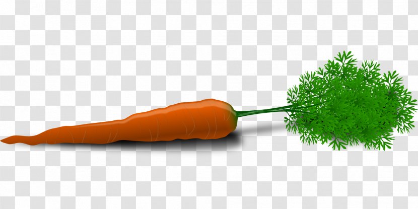 Carrot Vegetable Clip Art - Creative Carrots Transparent PNG