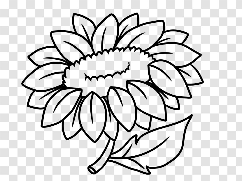 Floral Design Line Art Drawing Cut Flowers - Petal - Flower Bones Transparent PNG