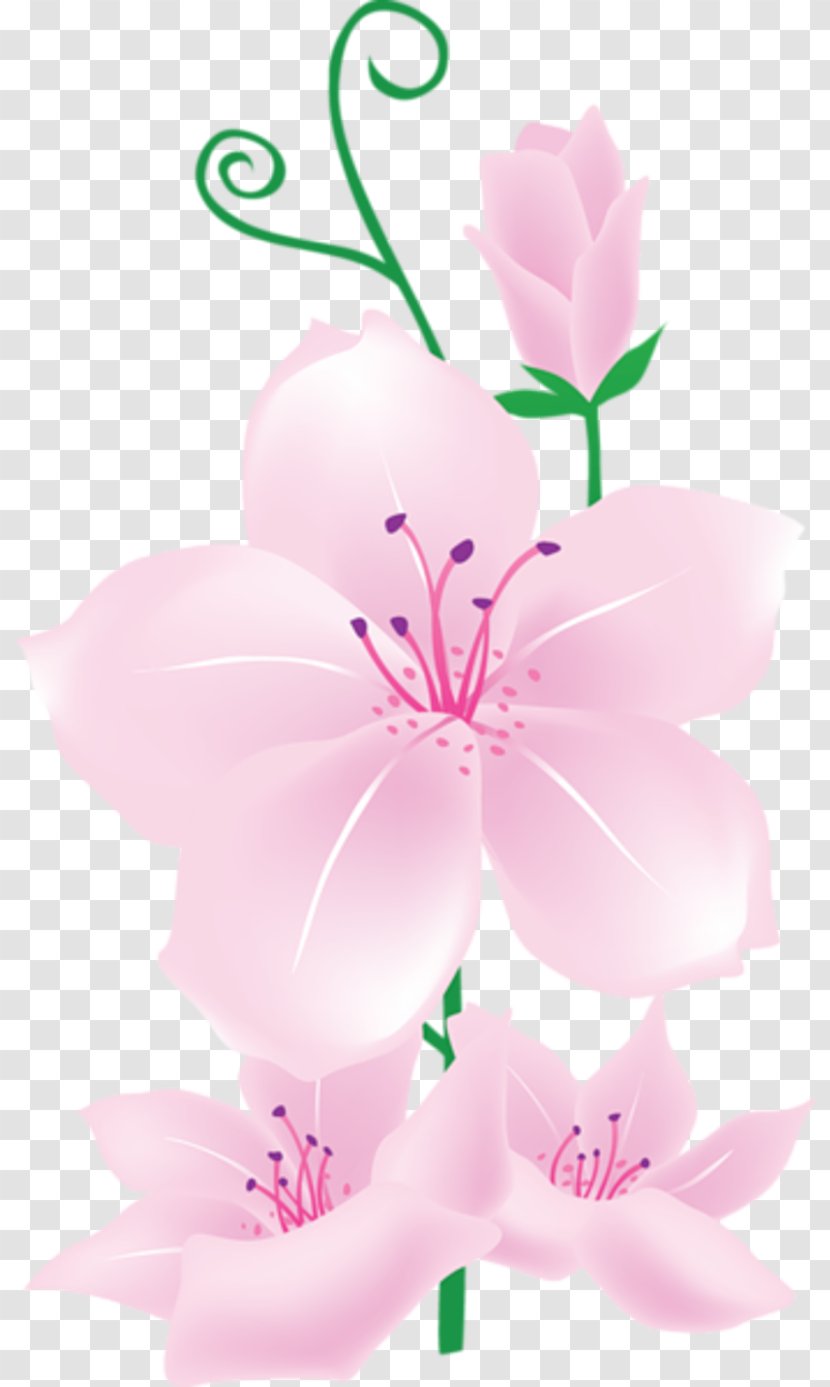 Clip Art Pink Flowers Image Floral Design - Flower Transparent PNG