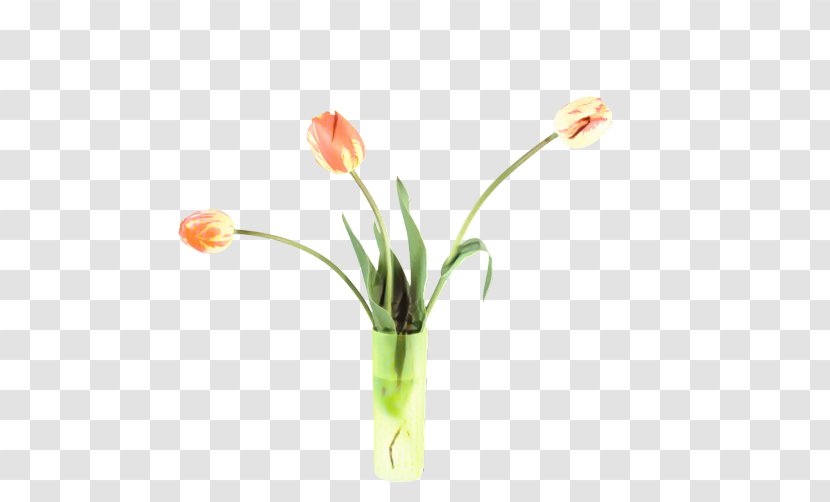 Tulip Cut Flowers Vase Artificial Flower - Lily Family - Botany Transparent PNG