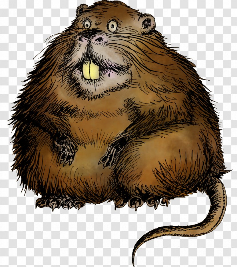 Coypu Rodent Beaver Animal - Marmot - Copy Transparent PNG