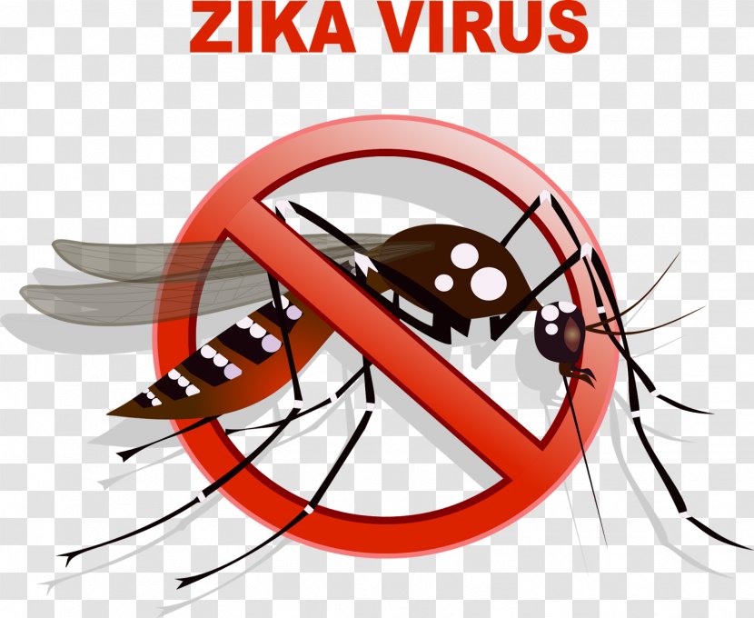 Yellow Fever Mosquito Zika Virus Vector Dengue - Transmission Transparent PNG
