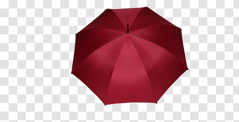 Umbrella Angle - Yi Transparent PNG