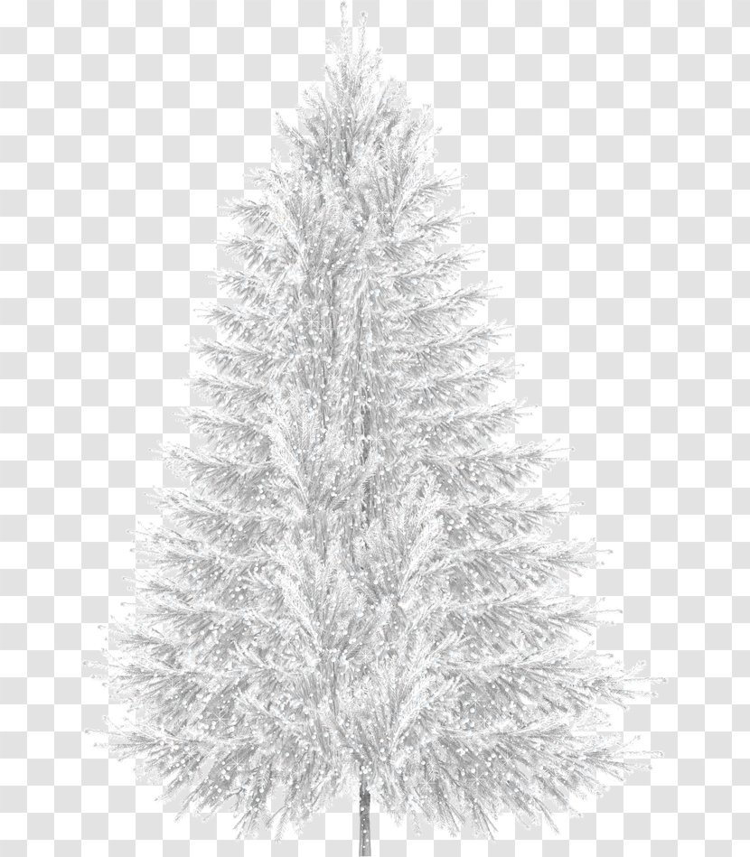 Christmas Tree Snow - Winter - Creative Transparent PNG
