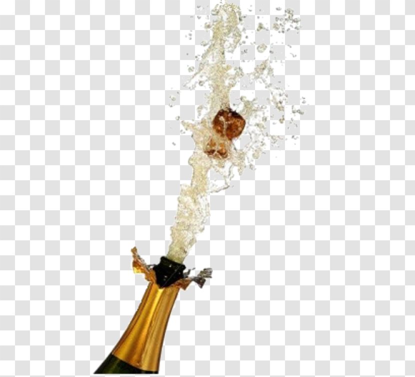 Word Champagne Meaning Transparent PNG