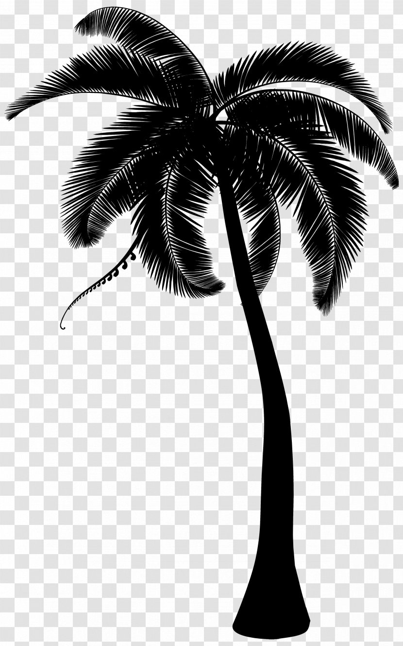 Palm Trees Coconut Clip Art - White Transparent PNG