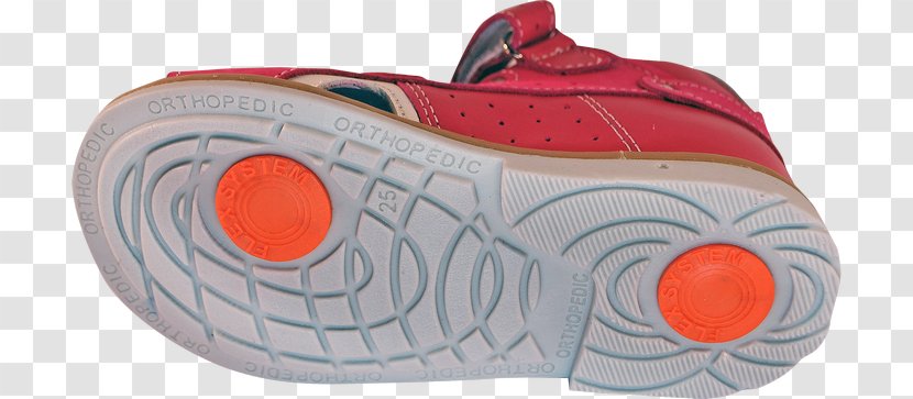 Sneakers Shoe Cross-training - Footwear - Design Transparent PNG