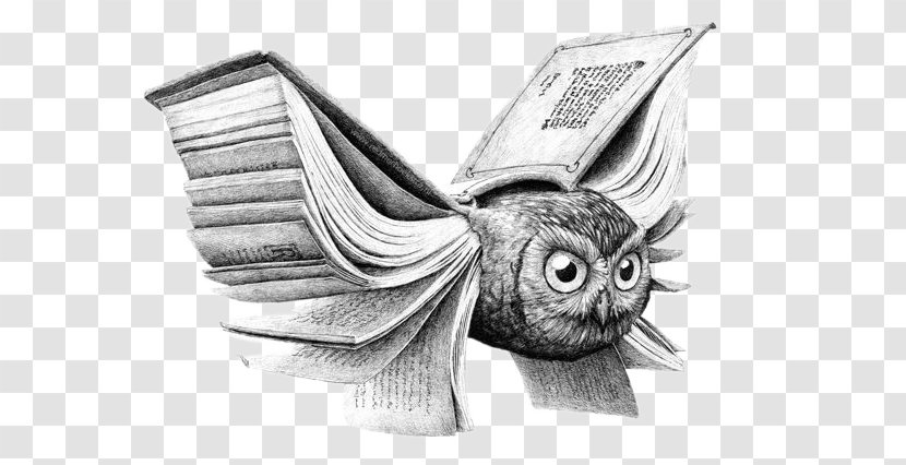 Owl Drawing Book Art Illustration - Surrealism - Creative IllustrationOwl Transparent PNG