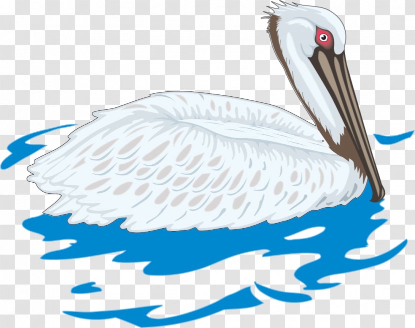Cygnini Bird Clip Art - Drawing - Vector Painted Swan Transparent PNG