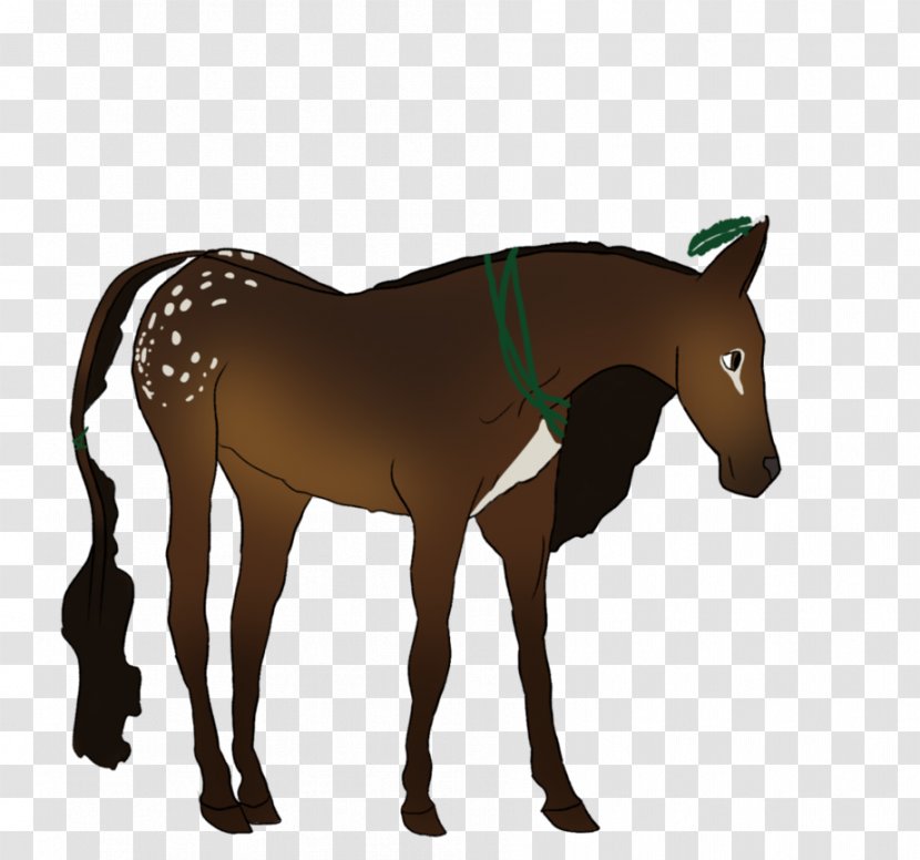 Mule Foal Stallion Mare Halter - Colt - Mustang Transparent PNG