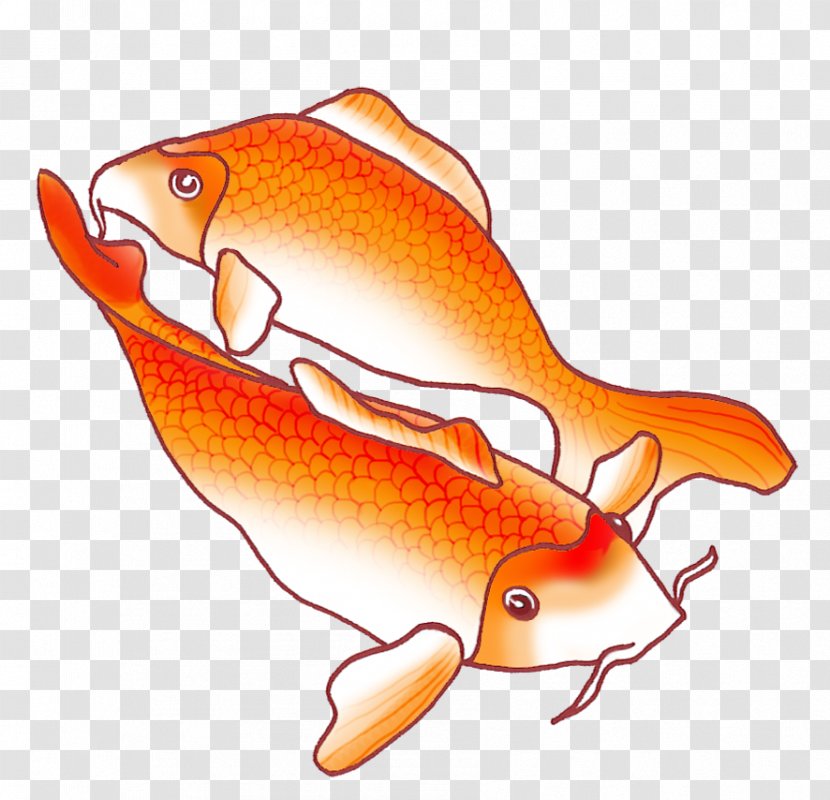 Koi Fish Drawing - Animal Transparent PNG