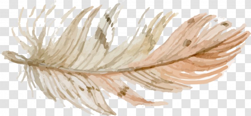 Feather Drawing Clip Art - Material Transparent PNG