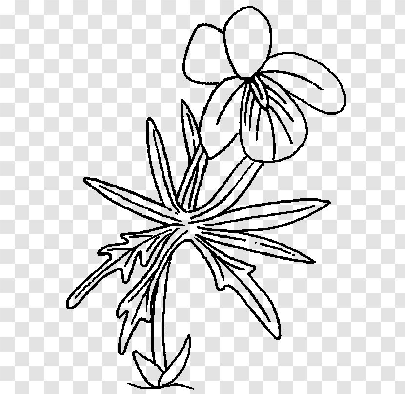 Drawing Floral Design Ludmila Visual Arts Flower - Line Art Transparent PNG