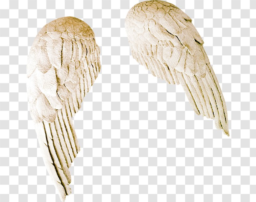 Wing Wallpaper - Patch - Fake Wings Transparent PNG