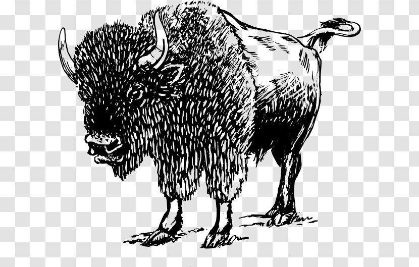 Bison Bonasus American Water Buffalo Clip Art - Goats Transparent PNG