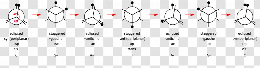 Paper Point Technology White - Black And - Molecular Chain Transparent PNG