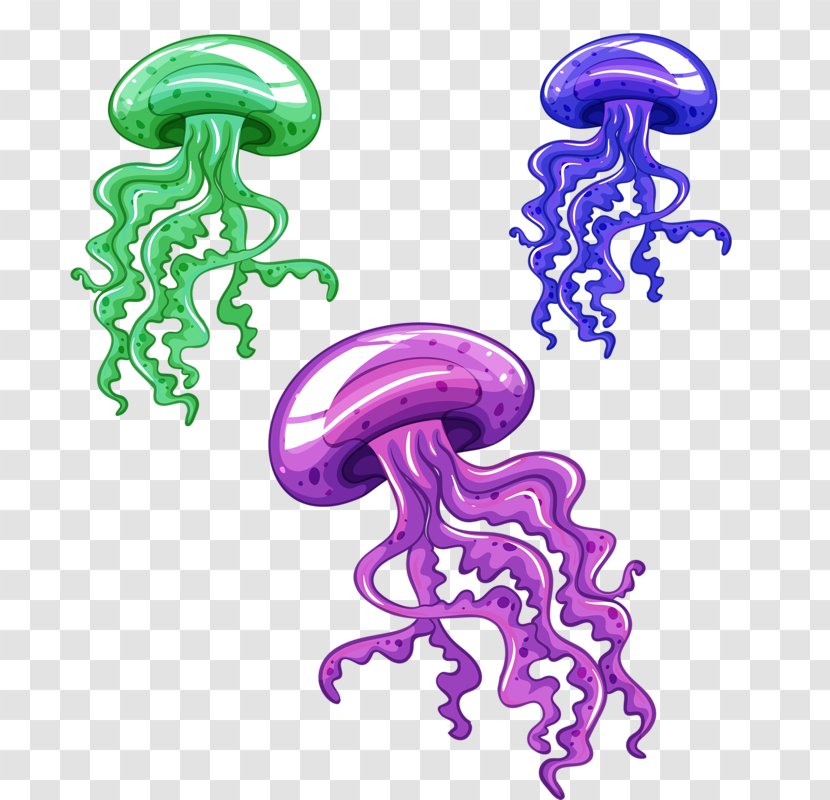 Jellyfish Vector Graphics Clip Art Sea Illustration - Royaltyfree Transparent PNG