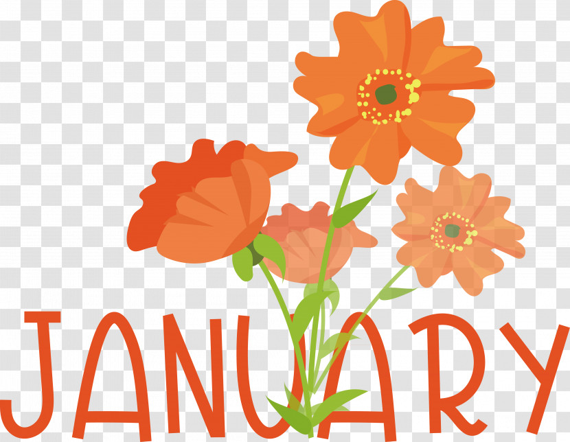 Floral Design Transparent PNG