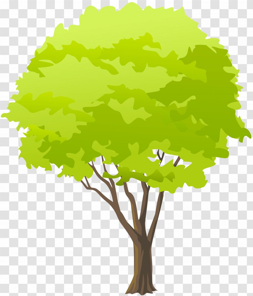 Branch Tree Clip Art - Green Transparent PNG