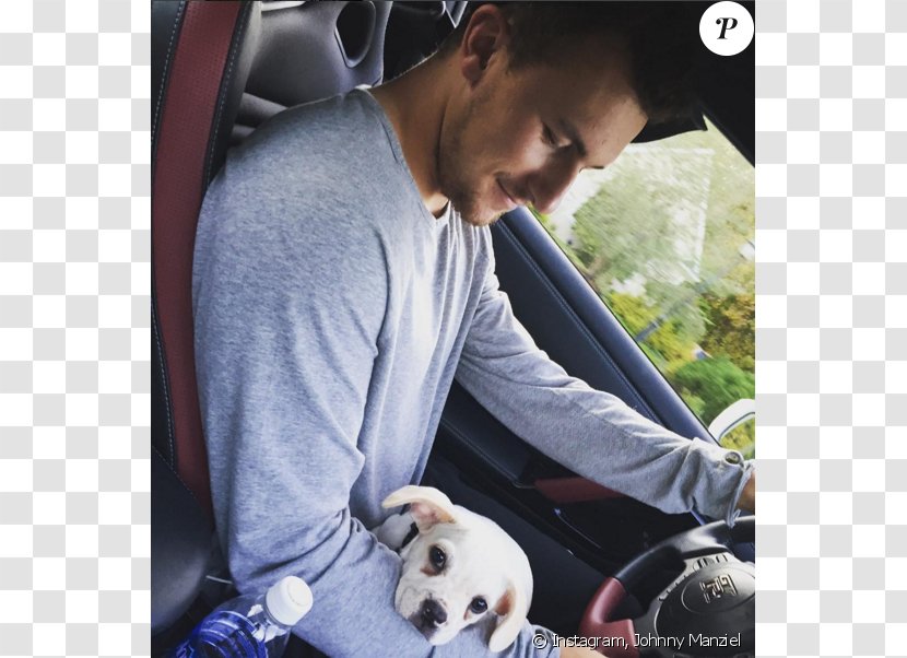 Dog T-shirt Baby & Toddler Car Seats - Seat Transparent PNG