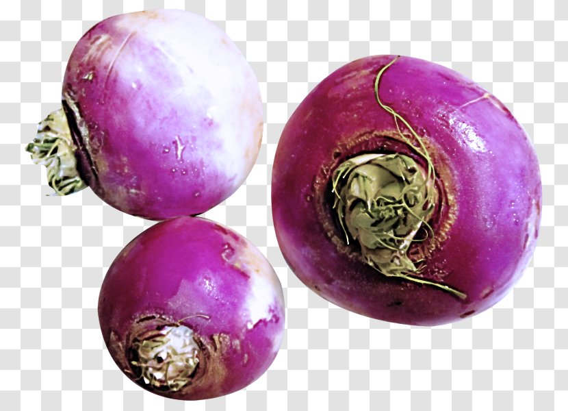 Turnip Purple Violet Rutabaga Food - Plant Vegetable Transparent PNG