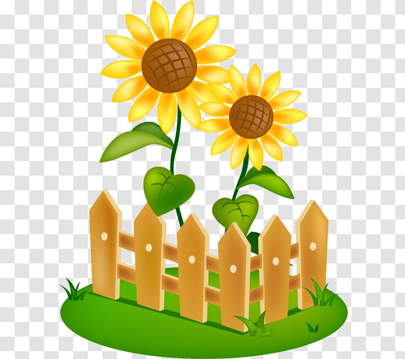 Common Sunflower August Season 0 Bon Festival - Yellow - Summer Transparent PNG