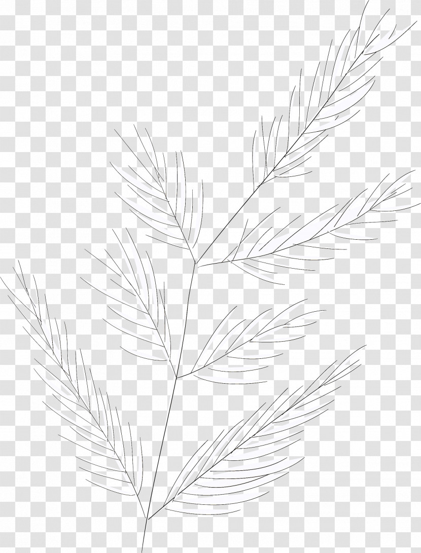 Simple Leaf Simple Leaf Drawing Simple Leaf Outline Transparent PNG