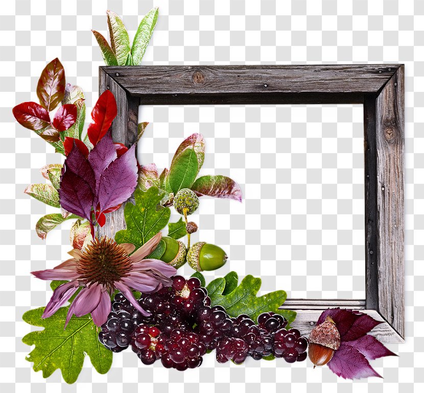 Background Flowers Frame - Plant - Berry Vitis Transparent PNG