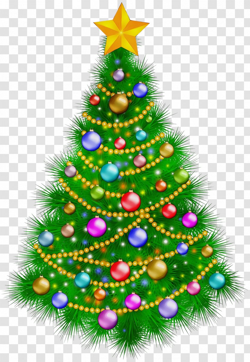 Christmas Tree - Decoration - Conifer Transparent PNG