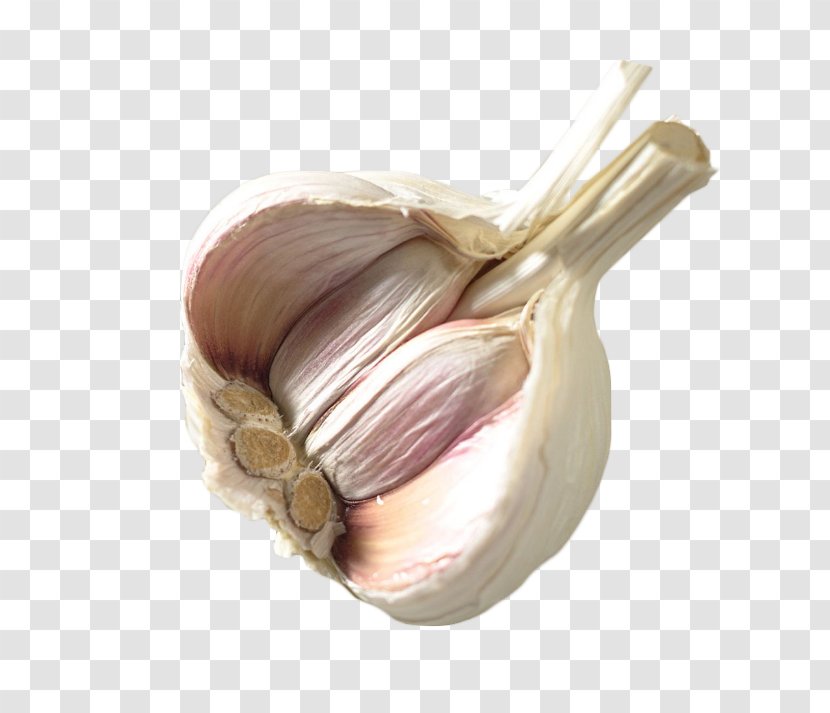 Garlic Shallot Vegetable Food - Medicine - Broke Transparent PNG