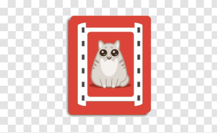 Whiskers Kitten Owl Snout Technology - Rectangle Transparent PNG